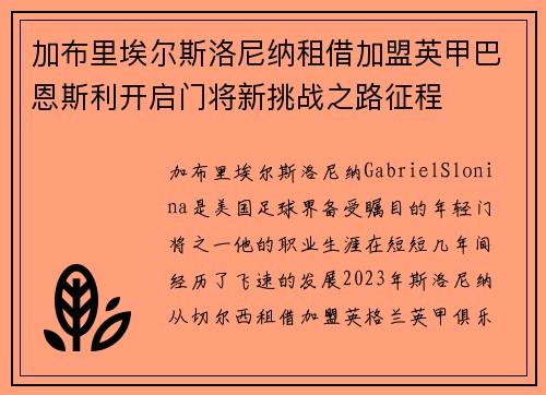 加布里埃尔斯洛尼纳租借加盟英甲巴恩斯利开启门将新挑战之路征程