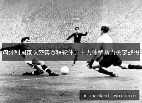 匈牙利国家队密集赛程轮休，主力休整蓄力关键战役