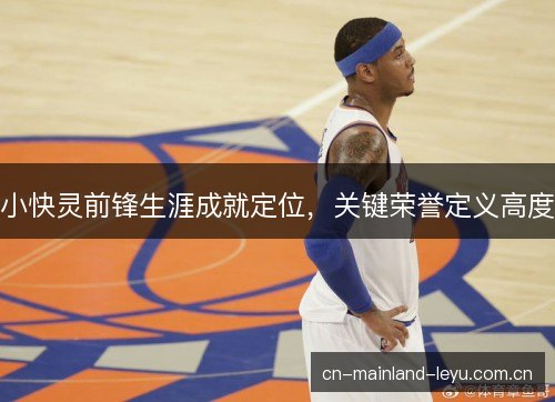 小快灵前锋生涯成就定位，关键荣誉定义高度